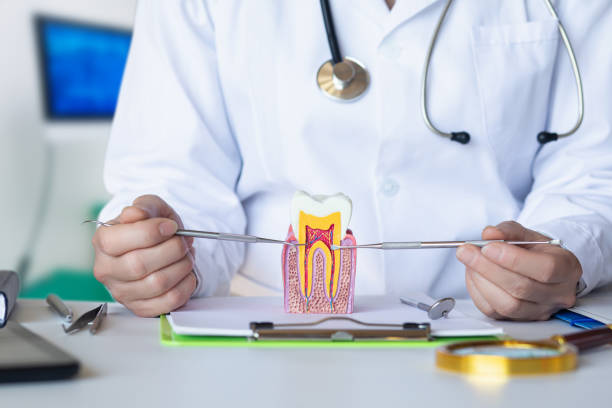 Best Knocked-Out Tooth (Avulsed Tooth) Treatment in Surf City, NC